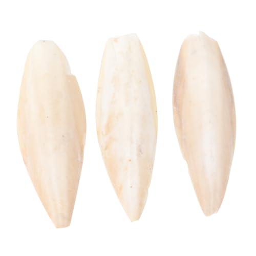 FUTUREORYY 3 Papageien Kauspielzeug Sepiaschalen Teilig Natürliches Calcium Kauknochen für Vögel Käfig Zubehör zur Zahnpflege und Beschäftigung von FUTUREORYY