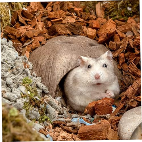 FUTUREORYY 3 Stück Teiliges Hamsterversteck aus Kokosnussschale Robustes Nagerhaus mit Natürlichem Material Geeignet als Spiel Schlafhöhle für Hamster Chinchillas und Kleintiere Langlebig FUTUREORYY 3 Stück Teiliges Hamsterversteck aus Kokosnussschale Robustes Nagerhaus mit Natürlichem Material Geeignet als Spiel Schlafhöhle für Hamster Chinchillas und Kleintiere Langlebig von FUTUREORYY