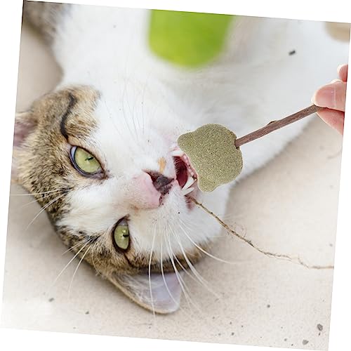 FUTUREORYY 3 Stück Teiliges Katzenspielzeug mit Natürlichem Katzenminze Minzstab Essbares Kätzchenspielzeug zur Zahnreinigung Interaktives Kauspielzeug für Wohnungskatzen Fördert Bewegung von FUTUREORYY