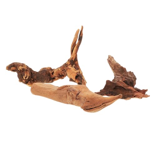 FUTUREORYY 3 Stück Teiliges Natürlicher Aquarien Dekoration aus Dekoratives Holz für Fischbecken für Aquascaping Gestaltung Lebendiger Aquarien und Terrarien FUTUREORYY 3 Stück Teiliges Natürlicher Aquarien Dekoration aus Dekoratives Holz für Fischbecken für Aquascaping Gestaltung Lebendiger Aquarien und Terrarien von FUTUREORYY