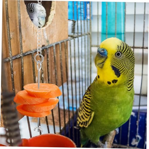 FUTUREORYY 3 Stück Teiliges Papageien Futterspender aus Hängender Vogel Obst Gemüse Halter Robust Langlebig mit Kette für Käfige und Vogelkäfig Zubehör Leicht zu Reinigen für von FUTUREORYY