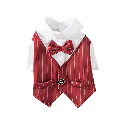 FUTUREORYY Anzug Für Haustiere Eleganter Entzückendes Design Für Hochzeiten Geburtstagsfeiern XXL Zu Reinigen Und Schnell Trocknend FUTUREORYY Anzug Für Haustiere Eleganter Entzückendes Design Für Hochzeiten Geburtstagsfeiern XXL Zu Reinigen Und Schnell Trocknend von FUTUREORYY
