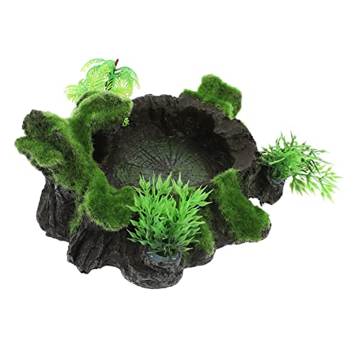 FUTUREORYY Decorative Reptile Bowl Aus Resin Wasserschale Für Terrarien Snack Und Futternapf Für Eidechsen Schildkröten Und Andere Reptilien Sicherer Gebrauch Und Natürliche Farben Für FUTUREORYY Decorative Reptile Bowl Aus Resin Wasserschale Für Terrarien Snack Und Futternapf Für Eidechsen Schildkröten Und Andere Reptilien Sicherer Gebrauch Und Natürliche Farben Für von FUTUREORYY