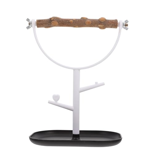 FUTUREORYY Bird Training Rack mit Ständer und Strapazierfähigem Kunststofftablett Papageienzubehör für Käfig Geeignet als Kauspielzeug und Trainingsspielplatz für Kleine bis Mittelgroße FUTUREORYY Bird Training Rack mit Ständer und Strapazierfähigem Kunststofftablett Papageienzubehör für Käfig Geeignet als Kauspielzeug und Trainingsspielplatz für Kleine bis Mittelgroße von FUTUREORYY
