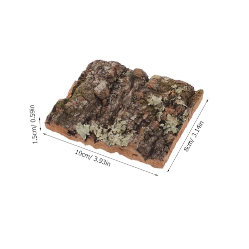FUTUREORYY Champagnerfarbene Korkrinde Natürliche Baumrinde Terrarium Dekoration Robust Langlebig Reptilienversteck Kletterpflanzen Wanddekor für Aquarium und Reptilienhabitat FUTUREORYY Champagnerfarbene Korkrinde Natürliche Baumrinde Terrarium Dekoration Robust Langlebig Reptilienversteck Kletterpflanzen Wanddekor für Aquarium und Reptilienhabitat von FUTUREORYY