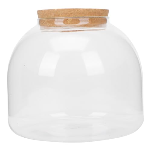 FUTUREORYY Glas Terrarium Flasche Mikrolandschaft Ökosystem DIY Flaschengarten Dekoration Transparentes Glas für Zimmer Pflanzen Büro Kreativ von FUTUREORYY