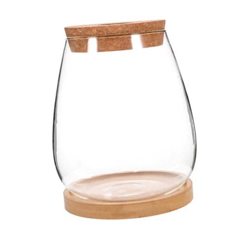 FUTUREORYY Glas Terrarium Hydroponik Pflanzgefäß Mini Landschaft Flaschengarten Dekoration für Zuhause Büro Multifunktionaler Ökosystem Behälter für Pflanzen und Aufbewahrung von FUTUREORYY