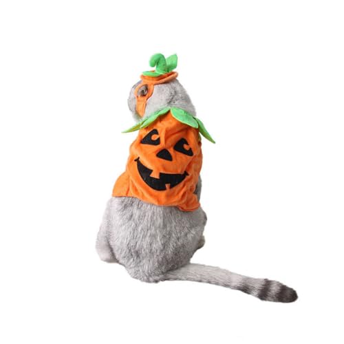 FUTUREORYY Halloween Haustierkostüm Kürbis Design Angenehmes Polyester Verstellbar Katzen und Hunde Party Kleidung für Halloween Karneval in Orange FUTUREORYY Halloween Haustierkostüm Kürbis Design Angenehmes Polyester Verstellbar Katzen und Hunde Party Kleidung für Halloween Karneval in Orange von FUTUREORYY