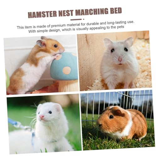 FUTUREORYY Hamsterhängematte Holz Atmungsaktiv Abnehmbar und Waschbar Erhöhtes Schlafbett für Meerschweinchen Kaninchen und Kleine Haustiere Großes Nest für Spiel und Ruhe FUTUREORYY Hamsterhängematte Holz Atmungsaktiv Abnehmbar und Waschbar Erhöhtes Schlafbett für Meerschweinchen Kaninchen und Kleine Haustiere Großes Nest für Spiel und Ruhe von FUTUREORYY