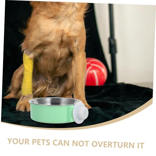 FUTUREORYY Haustiernapf Hängend für Hunde und Katzen Grün S rutschfest Einfach zu Reinigen Geeignet für Käfige Mit Einzigartigem Design Pet Food Bowl FUTUREORYY Haustiernapf Hängend für Hunde und Katzen Grün S rutschfest Einfach zu Reinigen Geeignet für Käfige Mit Einzigartigem Design Pet Food Bowl von FUTUREORYY
