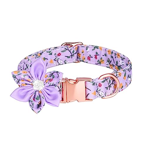 FUTUREORYY Hundehalsband Verstellbar Süßes Kätzchen und Hundehalsband mit Blumenmuster für Geburtstage und Fotoshootings Kleine Haustiere Zartem FUTUREORYY Hundehalsband Verstellbar Süßes Kätzchen und Hundehalsband mit Blumenmuster für Geburtstage und Fotoshootings Kleine Haustiere Zartem von FUTUREORYY