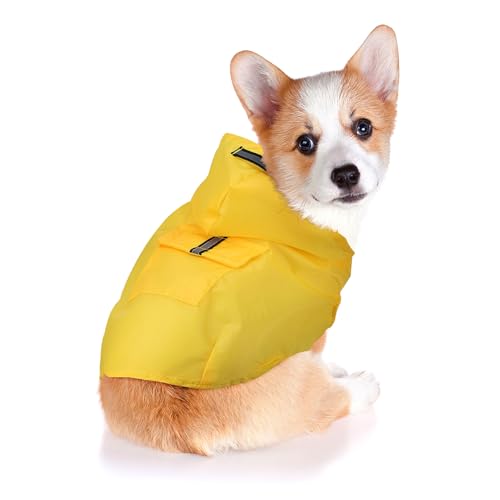 FUTUREORYY Hunderegenmantel mit Kapuze wasserdichte Regenjacke für Kleine Hunde Leicht und Einfach Anzuziehen aus Strapazierfähigem für Outdoor Aktivitäten FUTUREORYY Hunderegenmantel mit Kapuze wasserdichte Regenjacke für Kleine Hunde Leicht und Einfach Anzuziehen aus Strapazierfähigem für Outdoor Aktivitäten von FUTUREORYY
