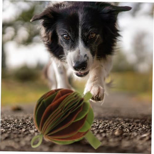 FUTUREORYY Hundespielzeug Bunter Snuffle Ball Interaktives Langlebiges Trainingsspielzeug für Hunde Langsames Füttern Beißfest Waschbar Geistige Stimulation Geeignet für Welpen und FUTUREORYY Hundespielzeug Bunter Snuffle Ball Interaktives Langlebiges Trainingsspielzeug für Hunde Langsames Füttern Beißfest Waschbar Geistige Stimulation Geeignet für Welpen und von FUTUREORYY