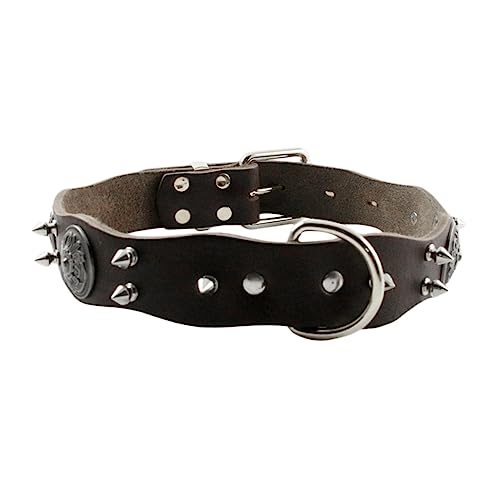 FUTUREORYY Kaugleckenkragen Hundezubehör Name Hundekragen Schwere Dut Welpe Groß Stichworte Einstellbar Hund Halskette Hund Halsband Braun FUTUREORYY Kaugleckenkragen Hundezubehör Name Hundekragen Schwere Dut Welpe Groß Stichworte Einstellbar Hund Halskette Hund Halsband Braun von FUTUREORYY