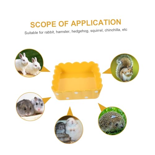 FUTUREORYY Kleiner Futternapf aus Keramik rutschfest und Kippsicher für Hamster Chinchilla Kaninchen Robustes Futter Wasserschälchen für Kleine Haustiere Spülmaschinenfest Zufällige Farbe FUTUREORYY Kleiner Futternapf aus Keramik rutschfest und Kippsicher für Hamster Chinchilla Kaninchen Robustes Futter Wasserschälchen für Kleine Haustiere Spülmaschinenfest Zufällige Farbe von FUTUREORYY