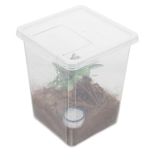 FUTUREORYY Kleines Springspinnen Terrarium Transparent aus Kunststoff Ausbruchssicherer Zuchtkasten für Spinnen und Reptilien Kompakte Spinnenbox für Haustierhaltung zu Hause und Büro von FUTUREORYY