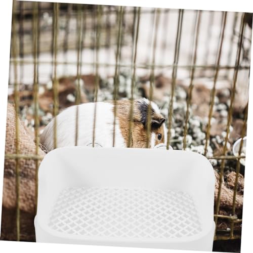FUTUREORYY Kleintier Toilette aus Langlebigem Material Geruchlos Einfach zu Reinigen Geeignet für Kaninchen Meerschweinchen Hamster Vielseitige Käfigtoilette für Kleine Haustiere Weiß FUTUREORYY Kleintier Toilette aus Langlebigem Material Geruchlos Einfach zu Reinigen Geeignet für Kaninchen Meerschweinchen Hamster Vielseitige Käfigtoilette für Kleine Haustiere Weiß von FUTUREORYY
