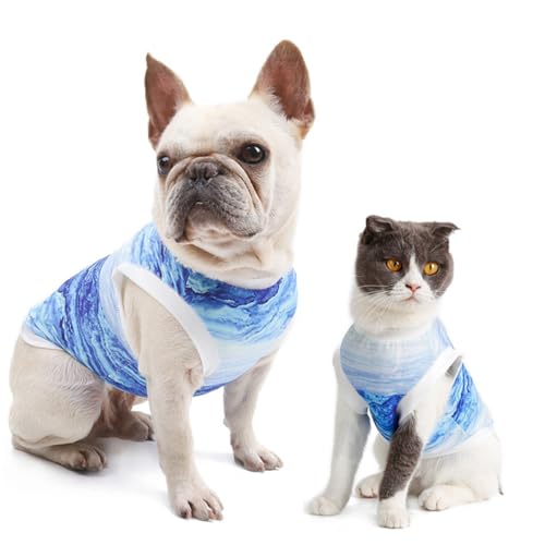 FUTUREORYY Kühlweste Hund Atmungsaktiv Leicht Wiederverwendbar Kühlfunktion für Kleine Hunde Chihuahua Haustier Vest FUTUREORYY Kühlweste Hund Atmungsaktiv Leicht Wiederverwendbar Kühlfunktion für Kleine Hunde Chihuahua Haustier Vest von FUTUREORYY