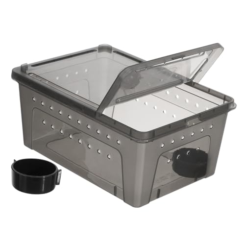 FUTUREORYY Kunststoff Reptilzuchtbox Mit Fütterungskasten Transparentes Terrarium Für Reptilien Und Insekten Für Schlangen Echsen Und Spinnen Teiliges von FUTUREORYY