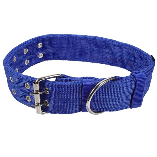 FUTUREORYY Lustiges Leuchtendes Haustierhalsband für Hunde und Flexibles Verstellbares XL aus Strapazierfähigem Material Modisches Accessoire und Schutz für Kleine bis Mittlere Haustiere von FUTUREORYY