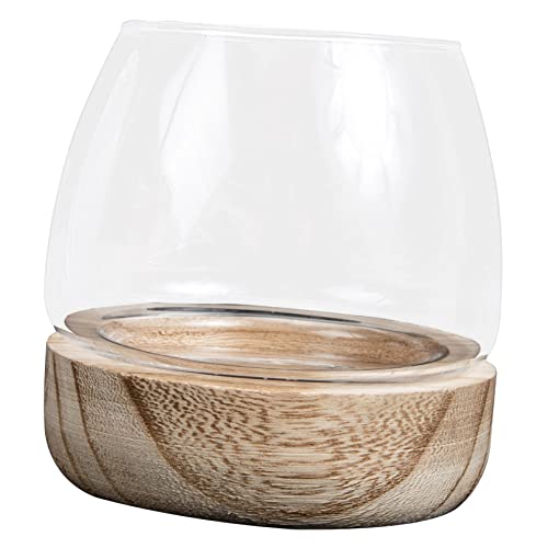 FUTUREORYY Mikrolandschaft Vase mit Holzsockel Multifunktionale Tischdeko für Kleine Aquarien und Blumen für Zuhause Büro und Kreative Dekoration FUTUREORYY Mikrolandschaft Vase mit Holzsockel Multifunktionale Tischdeko für Kleine Aquarien und Blumen für Zuhause Büro und Kreative Dekoration von FUTUREORYY