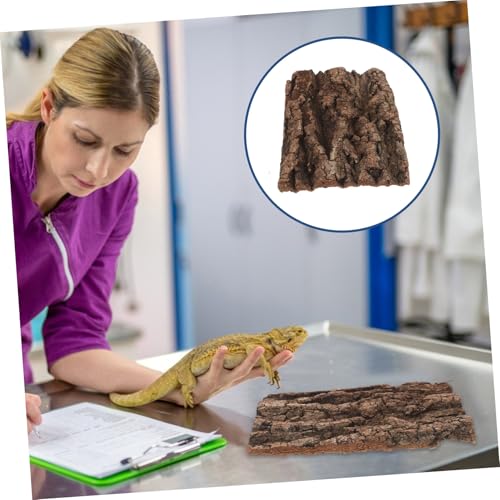 FUTUREORYY Natürlicher Kork Rinden Hintergrund für Terrarium Reptilien Kletterwand Baumrinde Rückwand für Gecko Schildkröte Bartagame und Spinnenhaltung FUTUREORYY Natürlicher Kork Rinden Hintergrund für Terrarium Reptilien Kletterwand Baumrinde Rückwand für Gecko Schildkröte Bartagame und Spinnenhaltung von FUTUREORYY