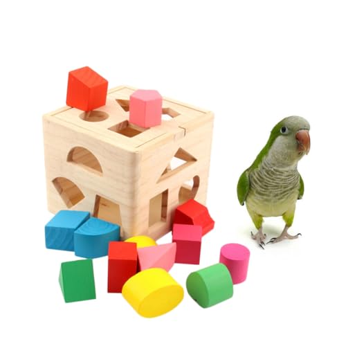 FUTUREORYY Holzblock-wurfspielzeug Für Papageien Und Pädagogisches Spielzeug Für Vögel Fördert Geschicklichkeit Und Geeignet Für Kleine Vögel Wie Nymphensittiche Und Wellensittiche FUTUREORYY Holzblock-wurfspielzeug Für Papageien Und Pädagogisches Spielzeug Für Vögel Fördert Geschicklichkeit Und Geeignet Für Kleine Vögel Wie Nymphensittiche Und Wellensittiche von FUTUREORYY