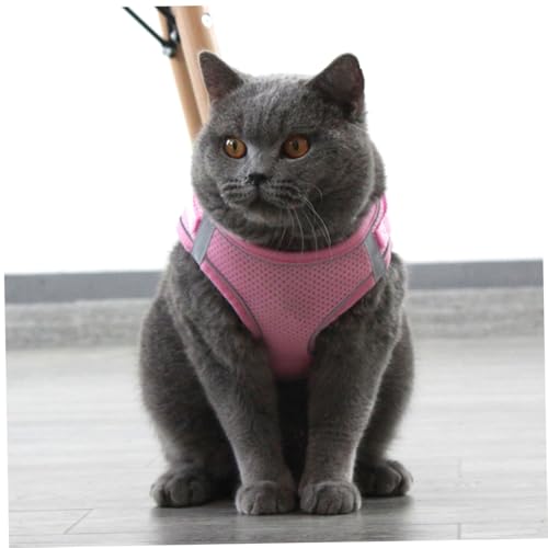 FUTUREORYY Reflektierendes Hundegeschirr Brustgeschirr mit Atmungsaktivem Leichtem Design für Welpen Verstellbares Sicheres Brustgeschirr Modisches Hundegeschirr und Leine Set von FUTUREORYY