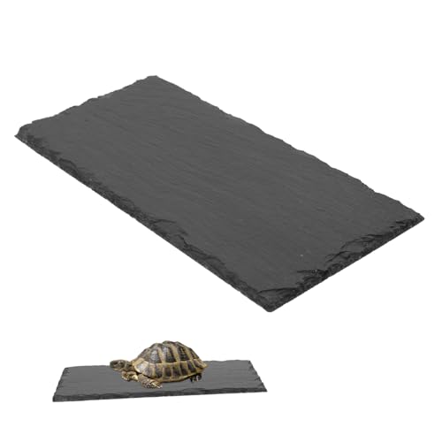 FUTUREORYY Reptil Schildkröte Schiefer Schildkrötenfutter Felsen Für Reptilien Platte Schildkrötentablett Fütterung Klein Für Schildkröte Schildkrötenschale Futterbecken Grey von FUTUREORYY