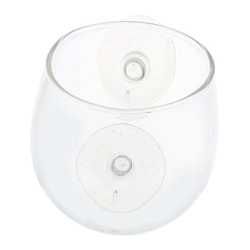 FUTUREORYY Reptilien Wasserschale aus Glas mit Saugnapf Anti Flucht Futterschale für Eidechsen und Chamäleons Leicht zu Reinigen Platzsparend Langlebiger Wassernapf für Terrarien und FUTUREORYY Reptilien Wasserschale aus Glas mit Saugnapf Anti Flucht Futterschale für Eidechsen und Chamäleons Leicht zu Reinigen Platzsparend Langlebiger Wassernapf für Terrarien und von FUTUREORYY