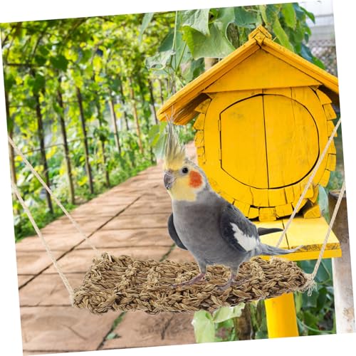 FUTUREORYY Reptilien hängematte Klein aus Natürlicher Seegrasfaser Robustes Kletterspielzeug für Bartagame und Leopard Gecko Langlebiges Leicht zu Reinigendes Terrarienzubehör FUTUREORYY Reptilien hängematte Klein aus Natürlicher Seegrasfaser Robustes Kletterspielzeug für Bartagame und Leopard Gecko Langlebiges Leicht zu Reinigendes Terrarienzubehör von FUTUREORYY