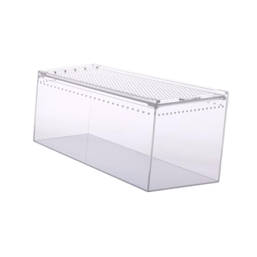 FUTUREORYY Reptilienkiste Transparente wasserdichte Zuchtbox Für Kletterfutter Und Sichere Aufbewahrung Von Haustieren Wie Geckos Spinnen Und Schlangen von FUTUREORYY