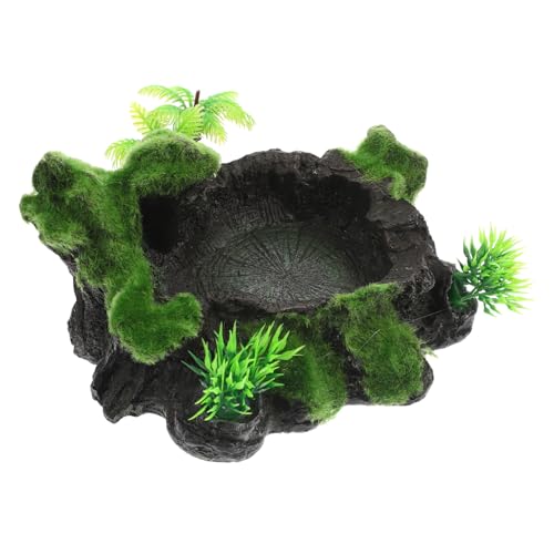 FUTUREORYY Resin Wasserschale für Reptilien Terrarium Langlebiger Futternapf mit Kippsicherem Design Hitzebeständig Sicher für Echsen Geckos Schildkröten als Dekorative Wasserschale im FUTUREORYY Resin Wasserschale für Reptilien Terrarium Langlebiger Futternapf mit Kippsicherem Design Hitzebeständig Sicher für Echsen Geckos Schildkröten als Dekorative Wasserschale im von FUTUREORYY