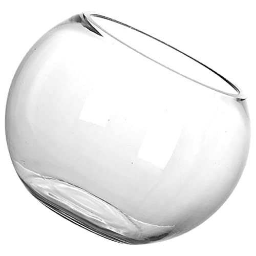 FUTUREORYY Rundes Fischbecken Fischschalen Für Goldfische Aquarium Ornamente Klein Desktop-Aquarium Runde Fischschüssel Tank Aquarienfisch Modern Fischbecken Klein Runden Glas Transparent FUTUREORYY Rundes Fischbecken Fischschalen Für Goldfische Aquarium Ornamente Klein Desktop-Aquarium Runde Fischschüssel Tank Aquarienfisch Modern Fischbecken Klein Runden Glas Transparent von FUTUREORYY