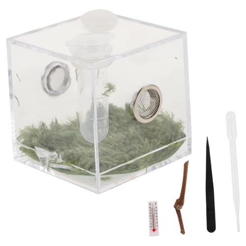 FUTUREORYY Spinnen Aufzuchtbox Transparent mit Belüftung Leichtes Reptilien Terrarium für Florida Springspinnen Kleines Insektenhabitat zur Einfachen Beobachtung und Sicherer Haltung FUTUREORYY Spinnen Aufzuchtbox Transparent mit Belüftung Leichtes Reptilien Terrarium für Florida Springspinnen Kleines Insektenhabitat zur Einfachen Beobachtung und Sicherer Haltung von FUTUREORYY