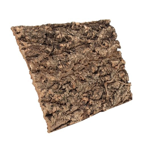 FUTUREORYY Terrariumrinde Reptilientank Zubehör Fischtank Dekoration Fischtank Zubehör Dekorationen Aquarium Reptilien Schlangentank Zubehör Korkrinde Kaffee FUTUREORYY Terrariumrinde Reptilientank Zubehör Fischtank Dekoration Fischtank Zubehör Dekorationen Aquarium Reptilien Schlangentank Zubehör Korkrinde Kaffee von FUTUREORYY