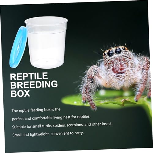 FUTUREORYY Transparente Reptilien Fütterungsbox mit Belüftung Praktische Mini Zuchtbox für Insekten und Kleine Tiere Leicht Tragbar und Sicher für Reptilienhaltung und Zufällige Farbe FUTUREORYY Transparente Reptilien Fütterungsbox mit Belüftung Praktische Mini Zuchtbox für Insekten und Kleine Tiere Leicht Tragbar und Sicher für Reptilienhaltung und Zufällige Farbe von FUTUREORYY