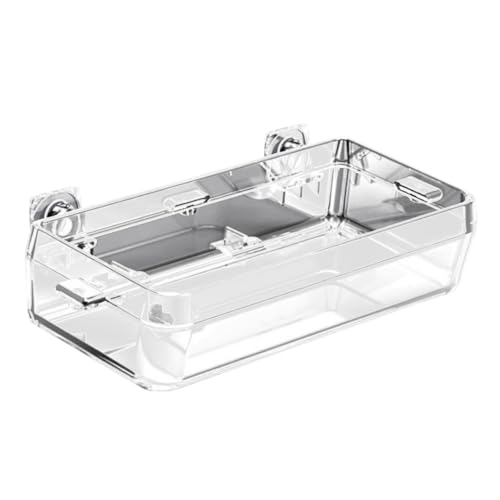 FUTUREORYY Transparenter Reptilien futternapf mit Saugnapf Langlebige Abs Kunststoff Futterschale für Geckos Eidechsen und Kleine Reptilien Leicht zu Reinigen und Sicher für Terrarium FUTUREORYY Transparenter Reptilien futternapf mit Saugnapf Langlebige Abs Kunststoff Futterschale für Geckos Eidechsen und Kleine Reptilien Leicht zu Reinigen und Sicher für Terrarium von FUTUREORYY