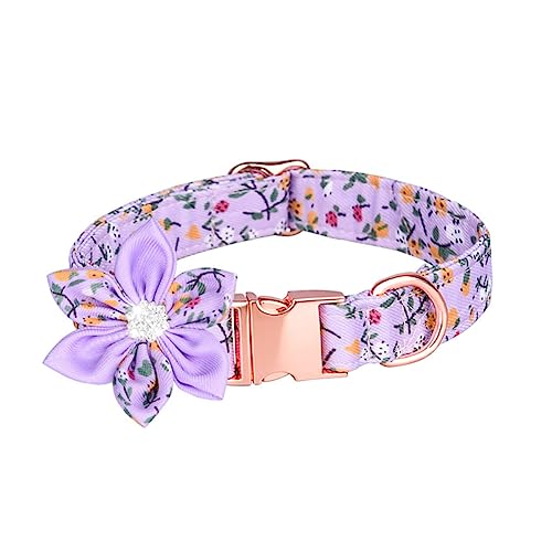 FUTUREORYY Verstellbares Haustierhalsband mit Abnehmbarer Süßes für und Kleine aus Partys und Tägliches Zufällig Zufällige Farbe FUTUREORYY Verstellbares Haustierhalsband mit Abnehmbarer Süßes für und Kleine aus Partys und Tägliches Zufällig Zufällige Farbe von FUTUREORYY