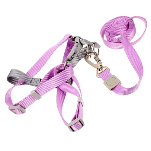 FUTUREORYY Verstellbares Hundegeschirr mit Leine Set aus Leichtem Material Knotensicheres Design Modisches Mehrfarbiges Brustgeschirr für Sichere Spaziergänge Draußen Geeignet für Kleine und von FUTUREORYY