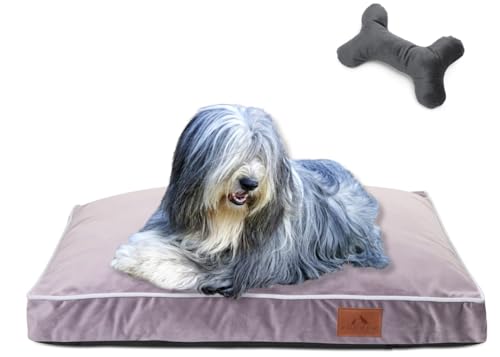 FUUFEE Hundebett, Hundekorb, Hundeliege, Hundebett kleine und mittelgroße Hunde, Hundezubehör, Hundebetten 80 x 60 cm Pastellviolett von FUUFEE