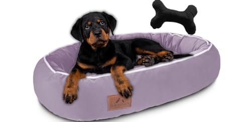 FUUFEE Hundebett, Hundekorb, Hundesofa, Hundeliege, Hundebett kleine Hunde, Hundezubehör, hundebett orthopädisch, Hundebetten 70 x 60 cm Purple von FUUFEE