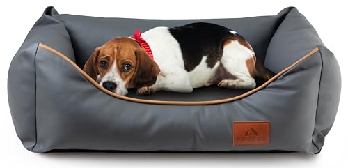 FUUFEE Sofa Chic: Luxus Tierbett | Wasserfestes Kunstleder, Abnehmbarer Bezug | Größen S, M, L | Ideal für Hunde und Katzen (Naß, M (80x60cm)) von FUUFEE