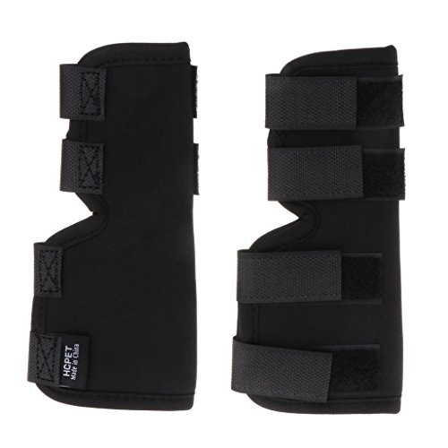 FUUGlan 1 Paar Hunde-Heckbeinbandage, schützt Wunden, Heilung und Verstauchungen bei Verletzungen, Verstauchungen, S/für M/L/XL FUUGlan 1 Paar Hunde-Heckbeinbandage, schützt Wunden, Heilung und Verstauchungen bei Verletzungen, Verstauchungen, S/für M/L/XL von FUUGlan