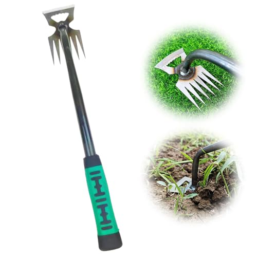 FUXNGZI Gartenarbeit Hand Unkrautstecher, Fugenkratzer Unkraut, Unkrautstecher, Outdoor-Garten-Reinigungsschaufel, Gartengeräte, Profi Trimmer Unkraut Geeignet zum Jäten (6 Zähne) von FUXNGZI