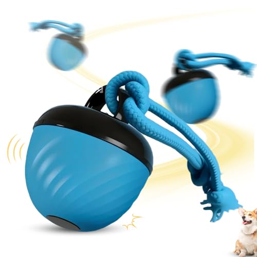 FUXNGZI Hundespielzeug, Interaktives Elektrisch Hundespielzeug Ball, Magic Ball Hund für Welpen und kleine Hunde, Bewegungsaktiviert, USB-Aufladung (Blau) von FUXNGZI
