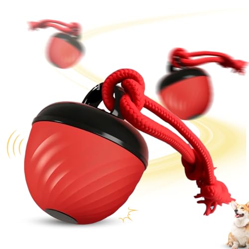 FUXNGZI Hundespielzeug, Interaktives Elektrisch Hundespielzeug Ball, Magic Ball Hund für Welpen und kleine Hunde, Bewegungsaktiviert, USB-Aufladung (Rot) von FUXNGZI