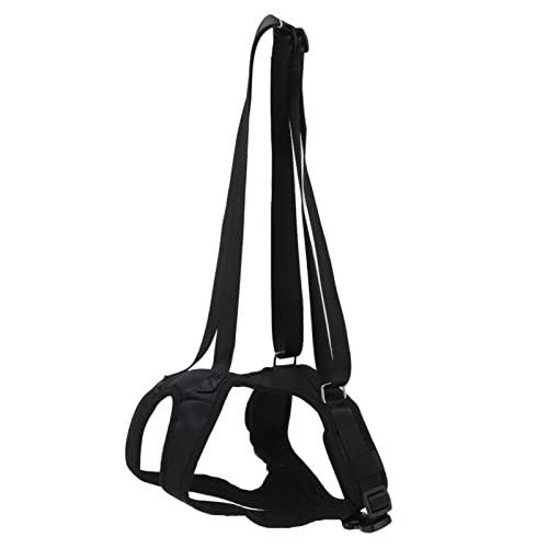 Hunde-Hinterbein-Stützschlinge, professionelle Rehabilitationsweste für behinderte ältere Hunde, Variable Schnalle mit Haken und Fahrradverschluss, tragbar, ideal für Arthr (M) von FUZHUI