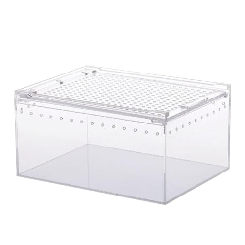 Acryl Reptilienkäfig Aufzuchtbox Terrarium Transparenter Futterraum Für Schlangen Kleine Haustiere Isopoden Eidechsen Kakerlaken Insekten Reptilien Aufzuchtbox Reptilien Aufzuchtbox Groß von FUZYXIH