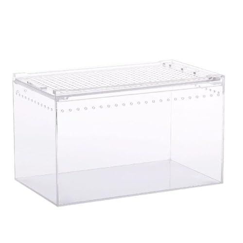 Acryl Reptilienkäfig Aufzuchtbox Terrarium Transparenter Futterraum Für Schlangen Kleine Haustiere Isopoden Eidechsen Kakerlaken Insekten Reptilien Aufzuchtbox Reptilien Aufzuchtbox Groß von FUZYXIH